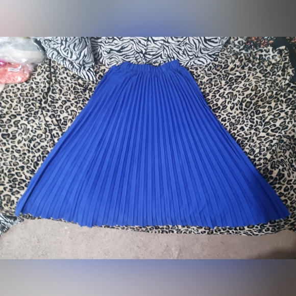 Women Blue belted pleated maxi skirt - Picture 9 of 15